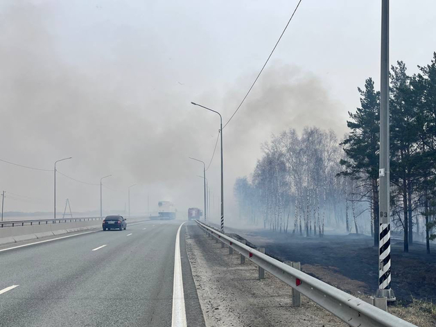 Тюмень заволокло дымом из-за пожаров на границе Свердловской и Курганской областей
