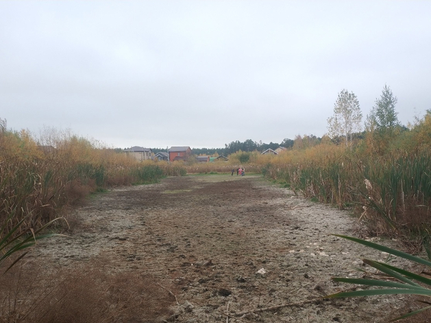 В Плеханово исчез пруд — местные жители винят инновационную биоочистку