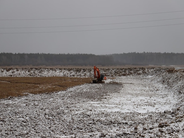 В Тюменской области выкопают искусственные пруды для выращивания осетров