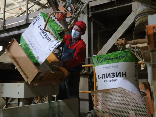 Тюменский агрохолдинг компенсирует лизином сокращение производства спирта