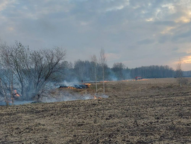 Рослесхоз предупредил о риске возникновения лесных пожаров в Тюменской области