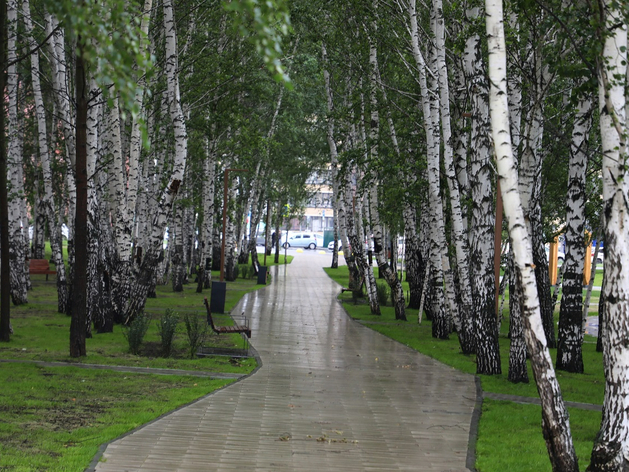 Накануне Дня города в Тюмени открыли новый сквер (с ливневой канализацией)