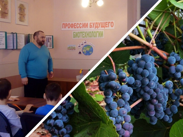 В Тюмени зарегистрировали винодельню для производства тихих вин В Тюмени зарегистрировали винодельню для производства тихих вин