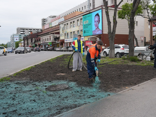 Тюменцы раскритиковали новый способ засева газонов (они решили, что их красят)