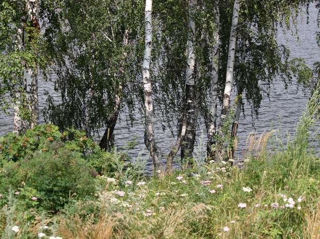 2,4 тыс. тюменцев получили почти 40 млн руб. на восстановление имущества после паводка