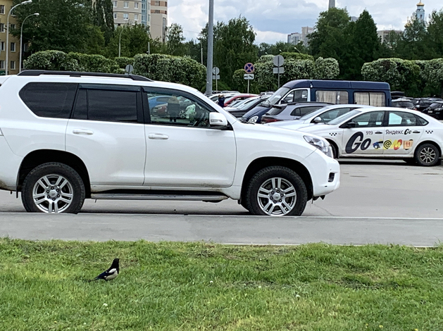 Тюменцы массово распродают китайские авто, купленные три-четыре года назад