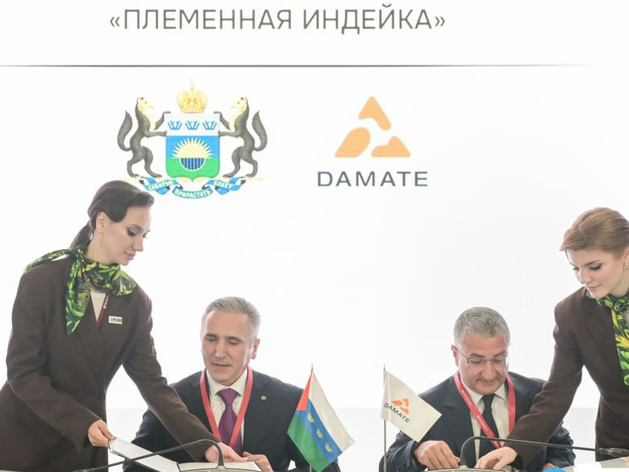 «Дамате» вложит 30 млрд рублей в два новых проекта в Тюменской области