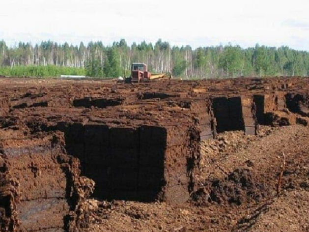 В Тюменской области резко сократилась добыча торфа