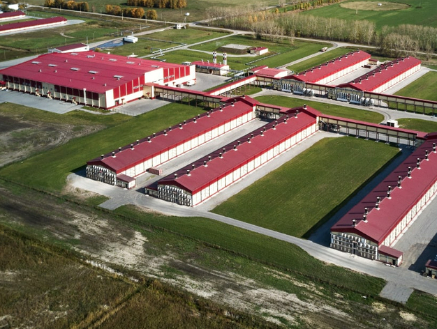 Росприроднадзор взыскивает 5 млн рублей с крупнейшей тюменской птицефабрики