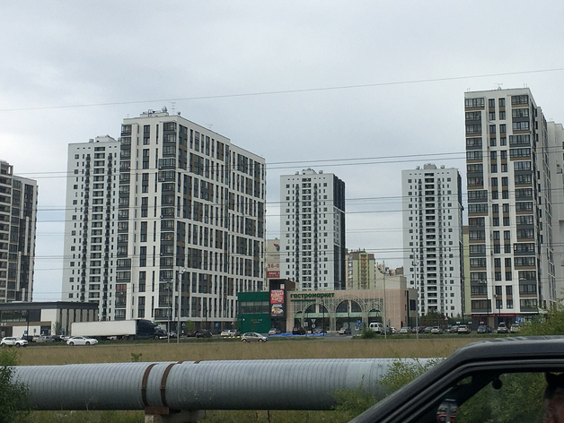 Мэр Тюмени предложил высадить крупномерные деревья вдоль объездной дороги