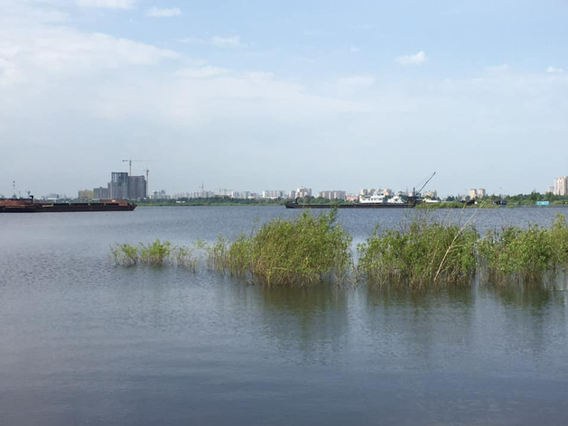 Озеро Круглое в Тюмени хотят изолировать от Туры, чтобы очистить от ила