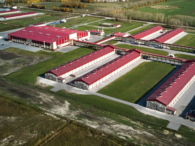 Боровскую птицефабрику продадут с аукциона за 10,8 млрд рублей