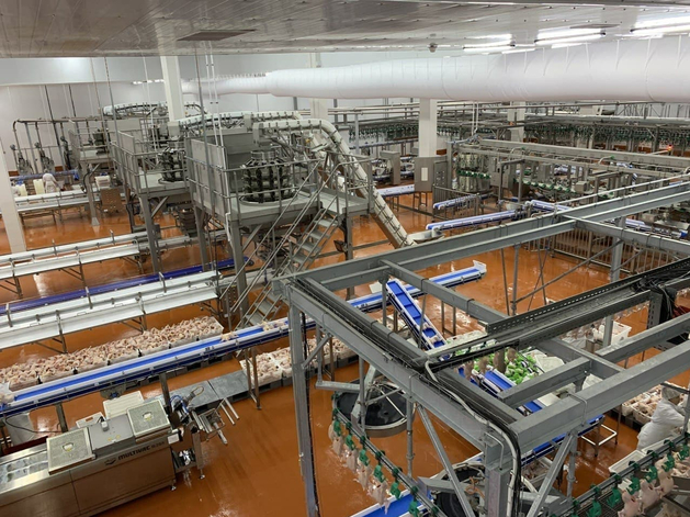 Тюменская прокуратура оштрафовала «Черкизово» из-за проблем с птичьим пометом