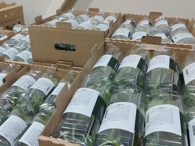 Владелица крупного тюменского производителя салатов продала долю в компании