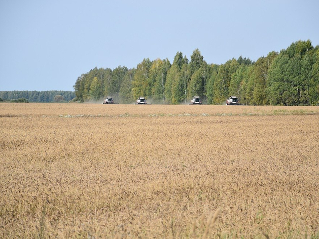 Тюменский холдинг вдвое поднял урожайность пшеницы с помощью агрохимикатов Тюменский холдинг вдвое поднял урожайность пшеницы с помощью агрохимикатов