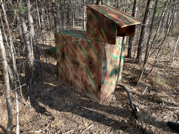 Энергетики обнаружили подпольную майнинг-ферму в лесу под Тюменью