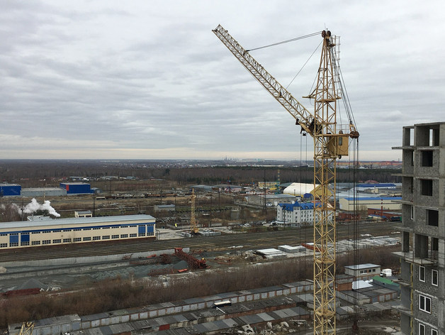 Более 600 иностранцев поступили в колледжи и техникумы Тюменской области