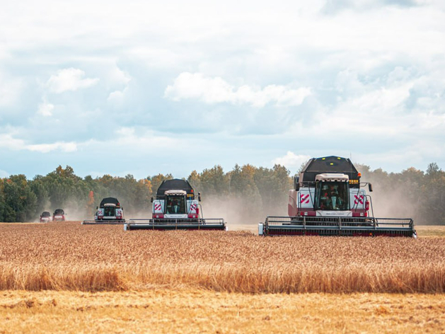 Объем экспорта зерна из Тюменской области в этом году уменьшился на 46%