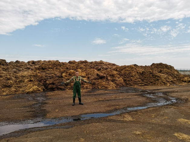 В Тюменской области построят масштабный комплекс по переработке навоза