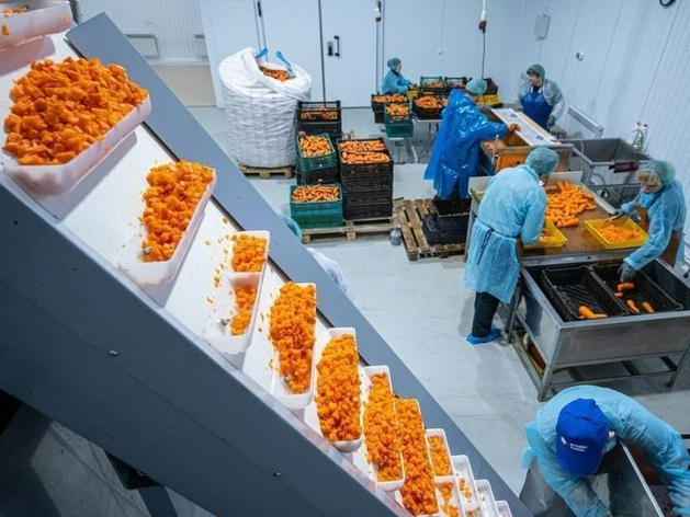 «Ягоды плюс» хотят запустить в Тюмени линию по производству полуфабрикатов «Ягоды плюс» хотят запустить в Тюмени линию по производству полуфабрикатов