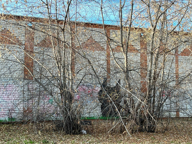Объем выдачи потребительских кредитов в Тюменской области снизился на 32% Объем выдачи потребительских кредитов в Тюменской области снизился на 32%