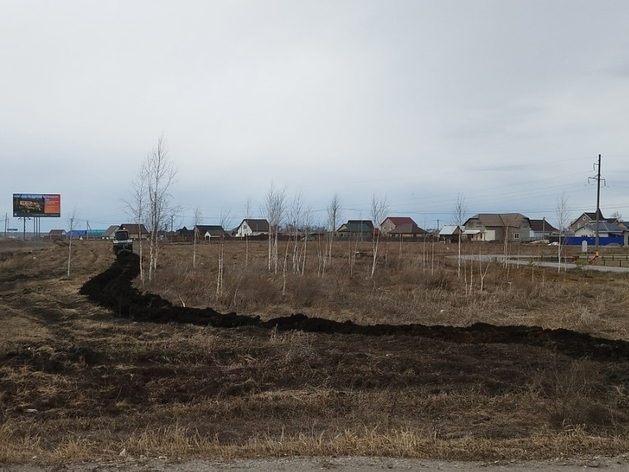 Под Тюменью создают особо охраняемую территорию для терм и конного парка
