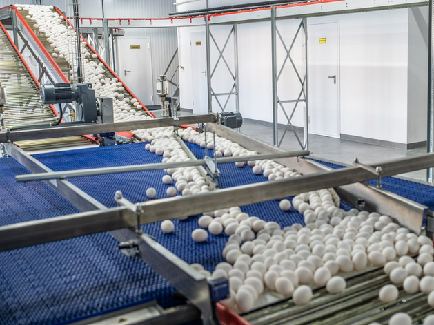 Очаг заболевания выявили на Пышминской птицефабрике под Тюменью