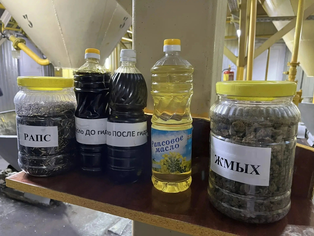Главный тюменский производитель рапсового масла увеличил объемы экспорта Главный тюменский производитель рапсового масла увеличил объемы экспорта