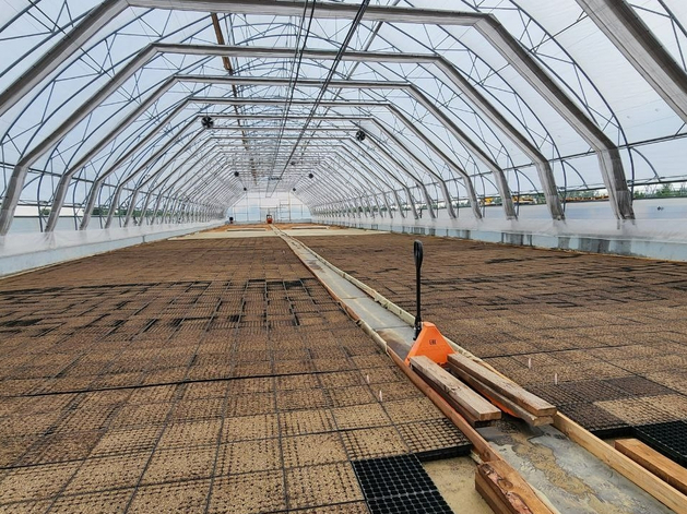 Под Тюменью построят еще две теплицы для выращивания хвойных деревьев Под Тюменью построят еще две теплицы для выращивания хвойных деревьев