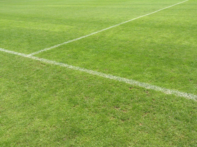 Собственник ресторанного холдинга построит в Тюмени футбольный центр Собственник ресторанного холдинга построит в Тюмени футбольный центр