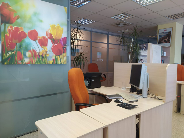 «Мы боимся»: тюменские предприниматели жалуются на проблемы с продвижением «Мы боимся»: тюменские предприниматели жалуются на проблемы с продвижением