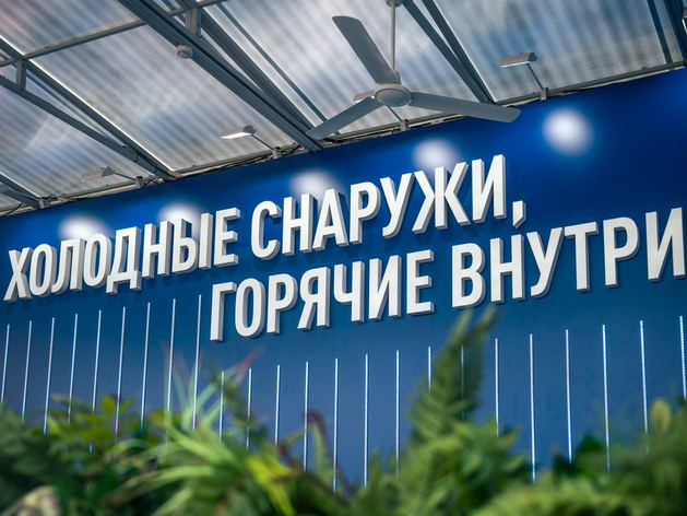 Первым объектом термального кластера под Тюменью станет курорт «Балдежный» Первым объектом термального кластера под Тюменью станет курорт «Балдежный»