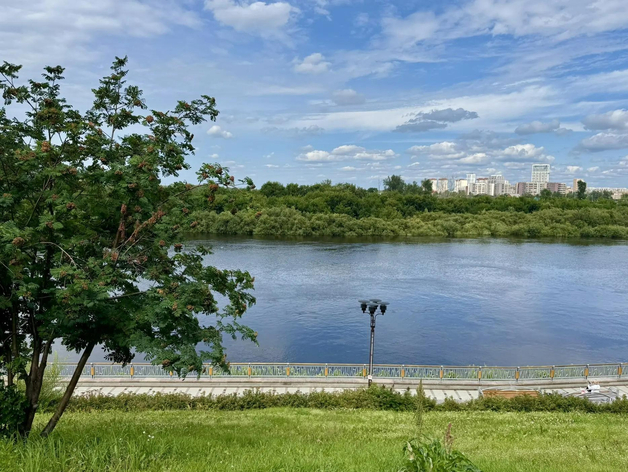 В Туре гибнет рыба — это может быть связано с подъемом воды из-за ливней В Туре гибнет рыба — это может быть связано с подъемом воды из-за ливней