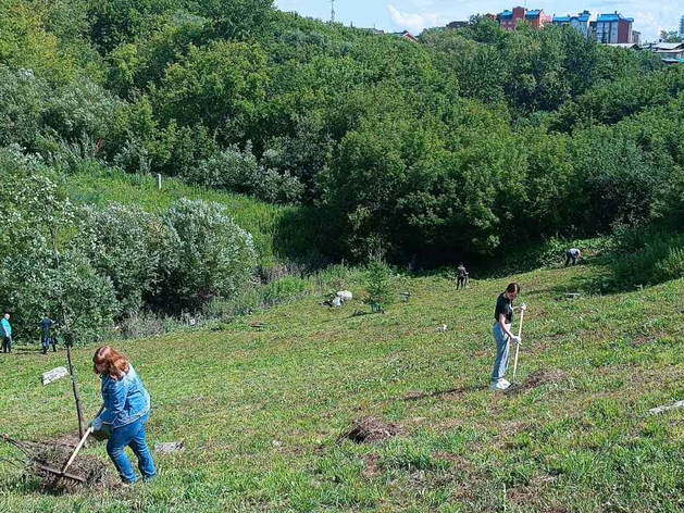 В Городищенском логу хотят построить отель и открыть минеральный источник В Городищенском логу хотят построить отель и открыть минеральный источник