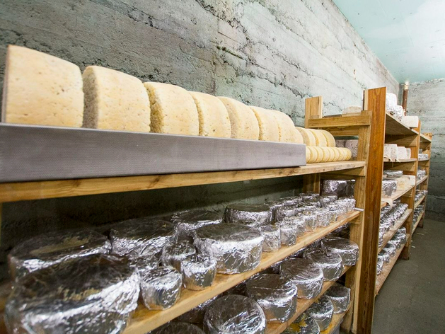 АРСИБ хочет запустить производство сыров на базе Ялуторовского мясокомбината АРСИБ хочет запустить производство сыров на базе Ялуторовского мясокомбината