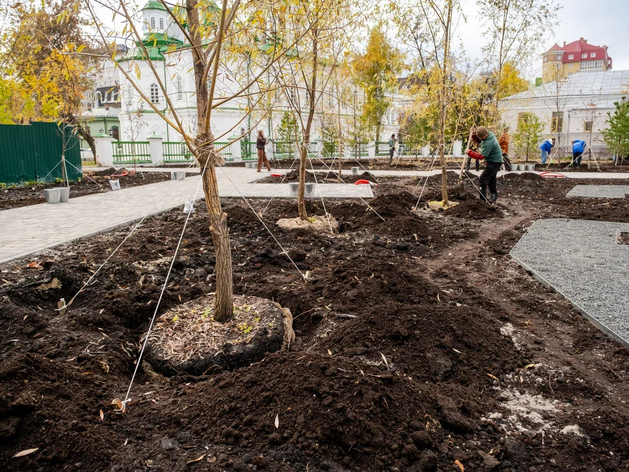 Текутьевский сад восстановят в центре Тюмени: где он появится Текутьевский сад восстановят в центре Тюмени: где он появится